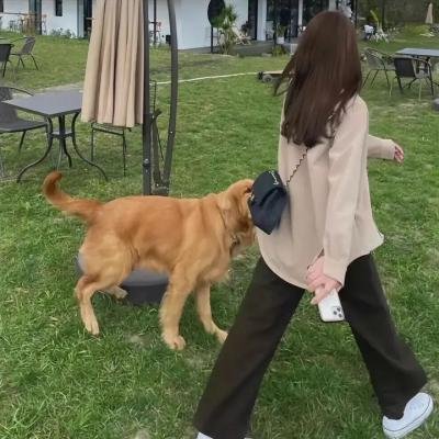 雨季的婚礼