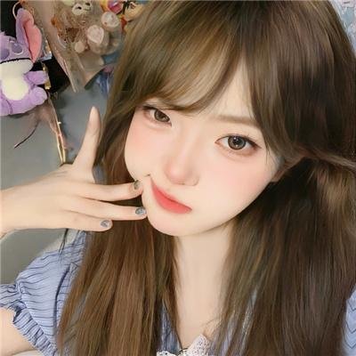 新十二生肖